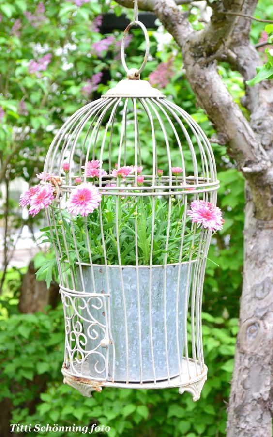 Gerberas-roses-suspension-potée-fleurie