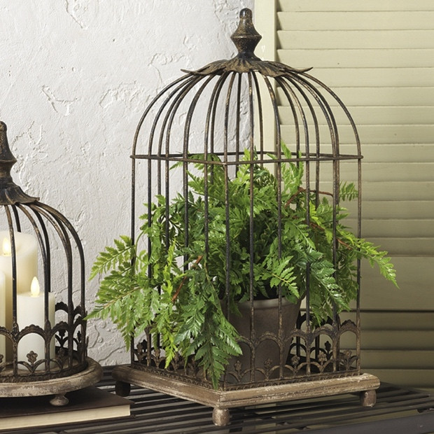 cage-oiseau-decorative-vintage-fougere-interieur