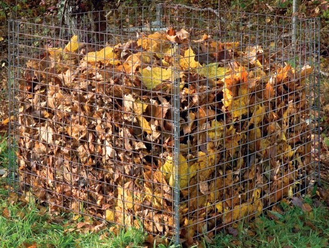 Feuilles mortes: les 4 façons de les utiliser ou s'en débarrasser - [LPQP]