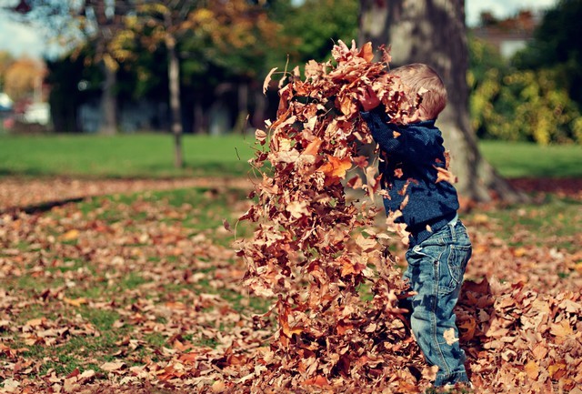 feuilles mortes enfant jeu