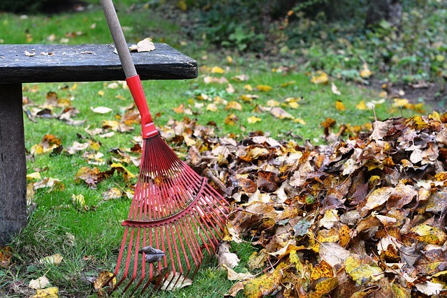 rateau à feuilles mortes pelouse banc automne