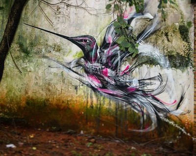 street art Lm7 Sao Paolo colibri