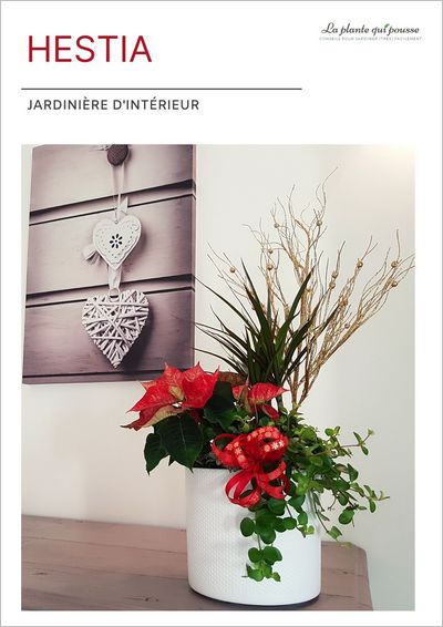 DIY idée de composition florale avec un poinsettia pour Noël et les fêtes de fin d'année, ou pour un cadeau personnalisé avec des plantes, fait maison