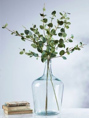 Bouquet de branches d'eucalyptus à feuilles rondes dans une bonbonne vase transparent