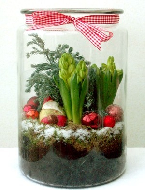 DIY: Terrarium de noël avec des jacinthes, branche de sapin et boules de noël. Découvrez comment faire pousser et fleurir des jacinthes à l'intérieur pour Noël et les fêtes, sur le blog La Plante Qui Pousse.com