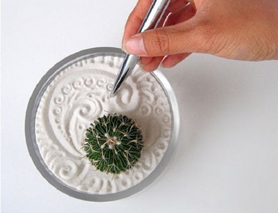 mini jardin zen dans un bol avec un cactus et du sable blanc