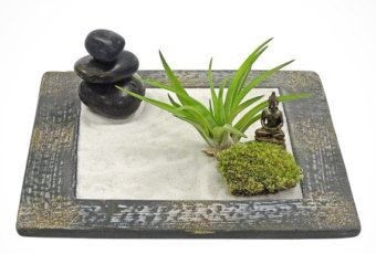 mini jardin zen intérieur avec une statue de Bouddha