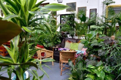 Urban jungle style - intérieur style jungle urbaine