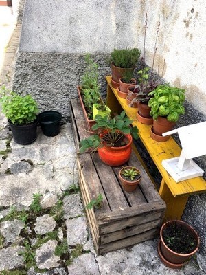 Les astuces de Cécile, une maman qui aime jardiner facilement. Un banc jaune et des cageots en bois forment 2 étages avec des pots de plantes faciles (heuchère, basilic, fraises...) égaient une cour sombre pavée à l'ancienne.