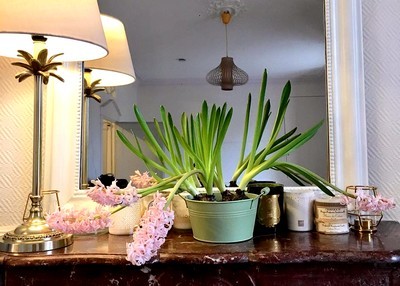 Cécile, une maman qui aime les belles plantes faciles à cultiver! Ici une coupe de jacinthes roses sur une cheminée devant un miroir... Découvrez ses astuces de jardinage facile dans son interview.