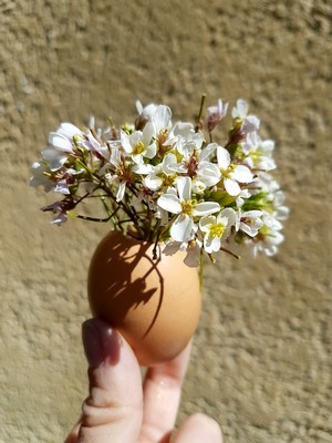 DIY fête de Pâques: des vases en coquilles d'oeuf. Simple, facile et rapide à réaliser. Lisez l'article du blog!