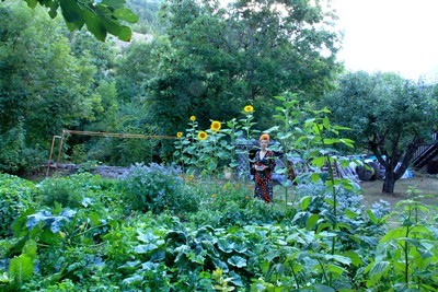 Plantes sauvages, aromatiques, potagères et fruitières: découvrez le magnifique jardin au naturel de Blandine: lisez son interview sur le blog.