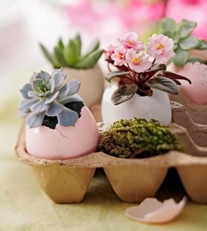 DIY déco de Pâques: des mini plantes dans des pots en coquilles d'oeufs. RDV sur le blog!