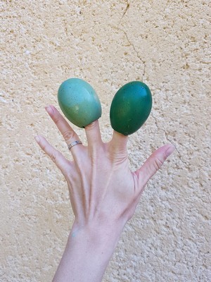 DIY Pâques: vases en coquilles d'oeufs teintes avec des colorants alimentaires. RDV sur le blog. 