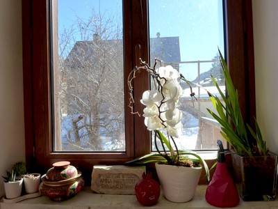 Chez Blandine, une orchidée blanche s'épanouit devant la fenêtre. Chacune de ses plantes est comme une madeleine de Proust: elle a une histoire. Découvrez le portrait de Blandine, jardinière et habitante du Parc des Ecrins. Lisez l'article sur le blog.