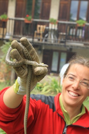 Dans le jardin sauvage de Blandine, on ne trouve pas que des plantes utiles et savoureuses. Il y a aussi d'autres habitants! Lisez son interview sur le blog.