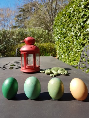 DIY teindre les oeufs de Pâques avec des colorants alimentaires: nuances de bleu vert. Rdv sur le blog!