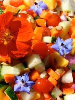 9 fleurs comestibles du jardin pour des recettes colorées