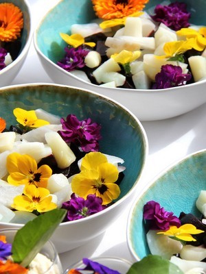 9 fleurs comestibles du jardin pour des recettes colorées