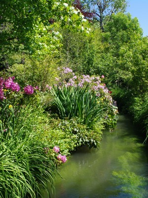 Magnifique mixed border le long d'un ruisseau, typique du style de jardin anglais. Lisez l'article du blog pour en savoir plus.