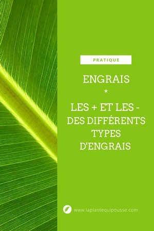 Avantages et inconvénients des différents types d'engrais (organiques, minéraux...) et de leur formulation (granulés, liquide, etc.). Découvrez tout sur les engrais: lisez l'article sur le blog.