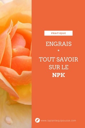 Engrais: que signifie NPK, comment choisir le bon engrais? Lisez l'article du blog pour tout savoir sur les engrais.