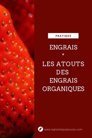 Pourquoi choisir les engrais organiques au jardin (fleurs, pelouse, potager...)? Découvrez tout sur les engrais, décryptez les étiquettes: lisez l'article sur le blog.