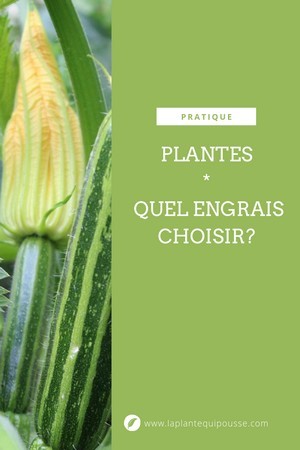 Bien choisir ses engrais, quel engrais choisir pour mes plantes. Découvrez tout sur les engrais, ne vous faites plus avoir par le marketing! Lisez l'article sur le blog.