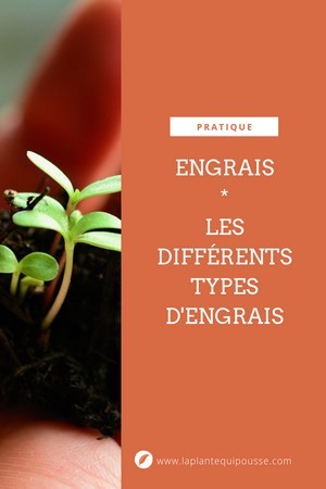 Comprendre les engrais: découvrez les différents types d'engrais, leurs avantages et inconvénients. Lisez l'article détaillé sur le blog.