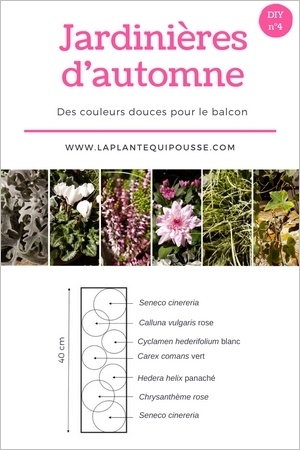 DIY: Modèle plan de jardinière d'automne à réaliser soi-même. Lisez l'article pour en savoir plus!