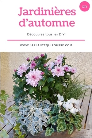 Découvrez 5 DIY et modèles de jardinières d'automne faciles à réaliser soi-même. Lisez l'article!