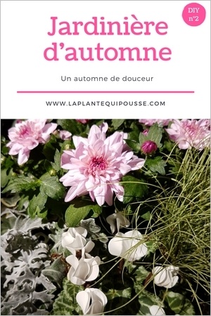 Tuto DIY: modèles de jardinières d'automne avec liste des plantes: lisez l'article pour en savoir plus!