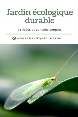 25 idées et conseils pour aménager et créer un jardin écologique durable