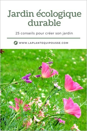 25 idées et conseils pour créer ou aménager un jardin écologique durable (ou un balcon, une terrasse)