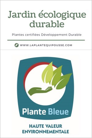 4 marques de plantes pour un jardinage durable: Plante Bleue = production française certifiée selon les principes du développement durable