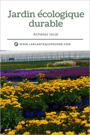 Jardin écologique durable: conseils pour acheter et choisir des plantes françaises produites localement.