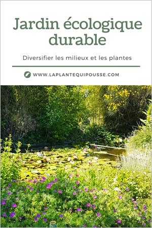 Jardin écologique: conseils pour diversifier la flore et les milieux pour favoriser la biodiversité