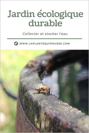 Jardin durable: conseils pour gérer l'eau au jardin. Diminuer sa consommation et favoriser la biodiversité