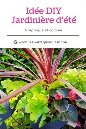 DIY composer une jardinière d'été, pas-à-pas simple à réaliser!