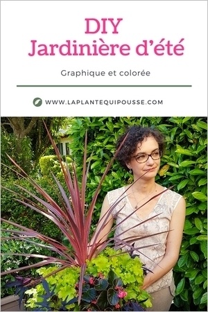 Idée DIY composer une jardinière d'été colorée, luxuriante et graphique