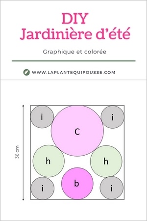 DIY plan de plantation d'une grande jardinière d'été colorée et exotique