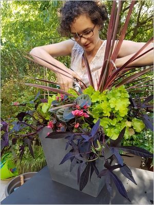 DIY Composer une jardinière d'été: taille, entretien pour un pot superbe toute la saison