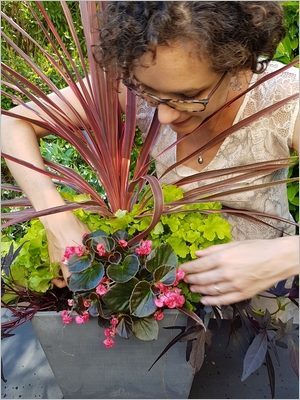 DIY composer une jardinière d'été: réussir à choisir les plantes et assembler les couleurs des fleurs et des feuillages