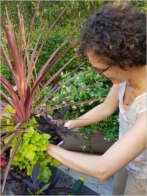 Composer une jardinière d'été colorée avec de beaux feuillages