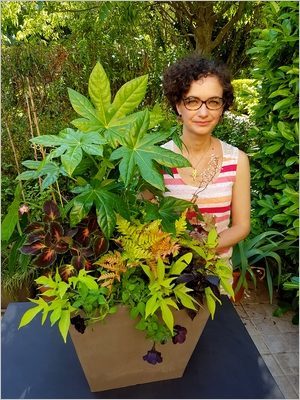 DIY Composer une jardinière d'été tropicale et luxuriante; idées de plantes vivaces colorées aux feuillages persistants