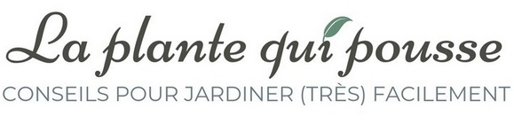 La plante qui pousse - Conseils pour jardiner (très) facilement