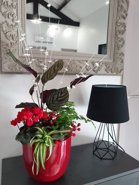 DIY comment faire une composition avec plusieurs plantes vertes et fleuries pour l'intérieur (décoration de fêtes, Noël et cadeau)