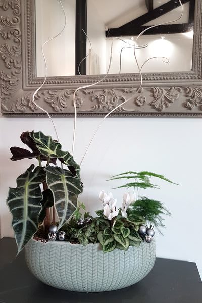 Plantes d'intérieur, que faire en été ? - Elle Décoration