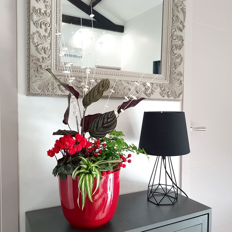 diy-idee-composition-jardiniere-plantes-interieur-alphee DIY idée de composition de jardinière de plantes vertes d'intérieur - Alphée