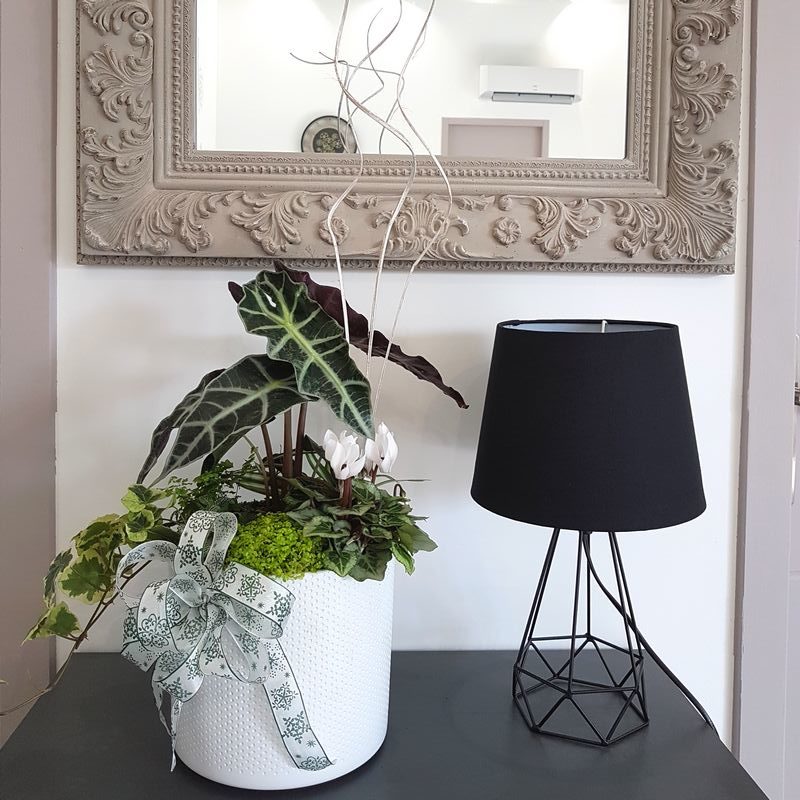 diy-idee-composition-jardiniere-plantes-interieur-icare DIY modèle idée de composition de jardinière de plantes vertes d'intérieur - Icare
